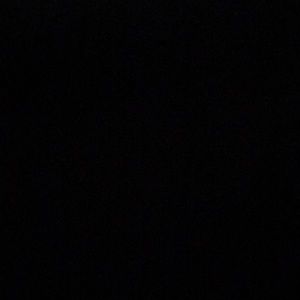 Meet your Posher, Vinny